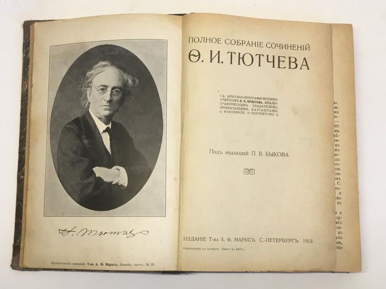 Фёдор Тютчев. Критика. Тема любви в лирике Ф. И. Тютчева «Денисьевский цикл»