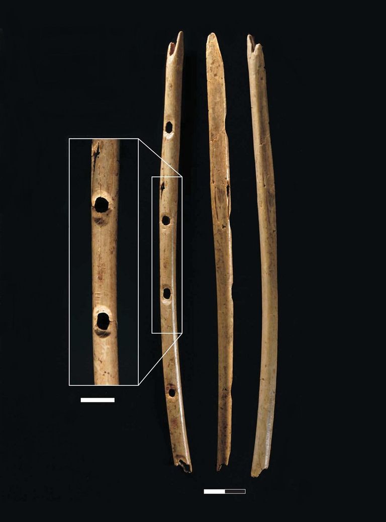 Один из древнейших музыкальных инструментов мари. Холе Фельс флейта. Флейта древний музыкальный инструмент. Древняя свистковая флейта. Первые музыкальные инструменты.