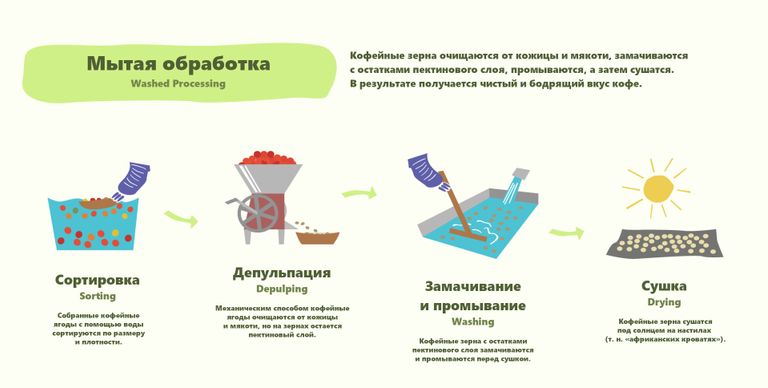 Обработка кофе схема